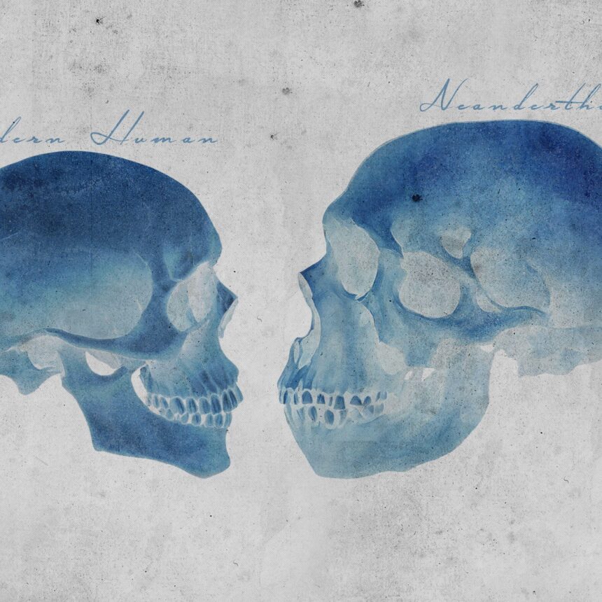 What Your DNA Reveals About the Sex Life of Neanderthals What Your DNA Reveals About the Sex Life of Neanderthals