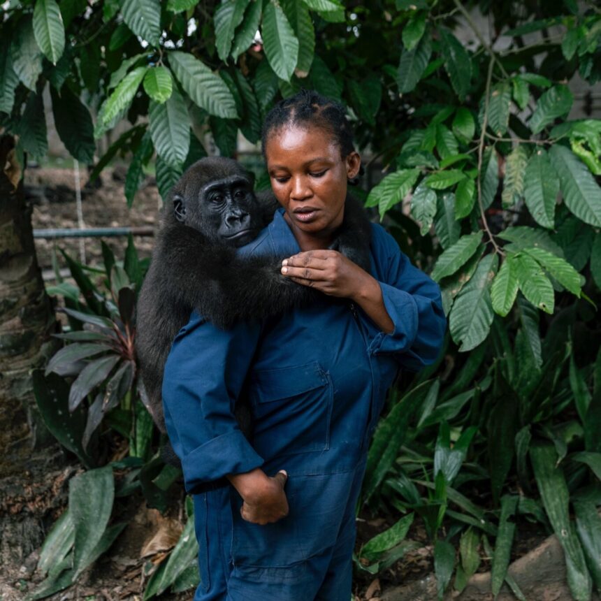 The Race to Stop Wildlife Trafficking in Africa