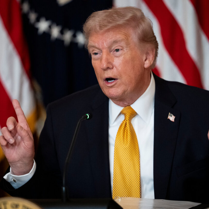 Trump Hits Out at Allies After Cool Response to Requests for Warships